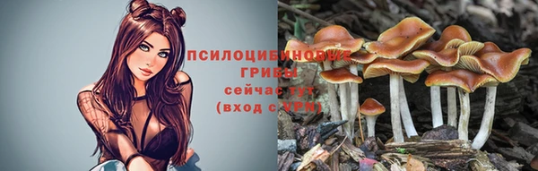 бошки Абаза