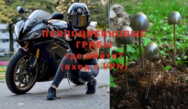 бошки Абаза