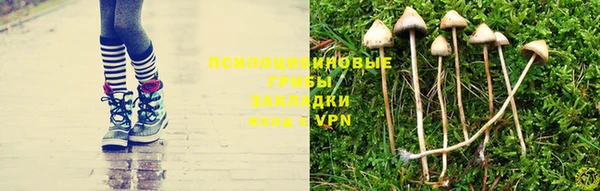бошки Абаза