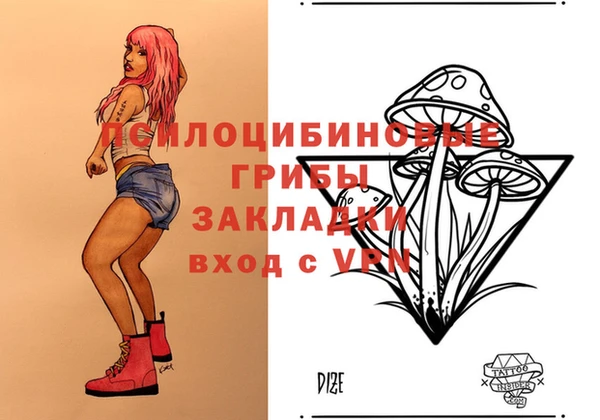 бошки Абаза